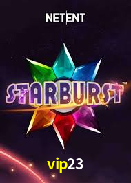 vip23