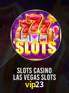 vip23.com